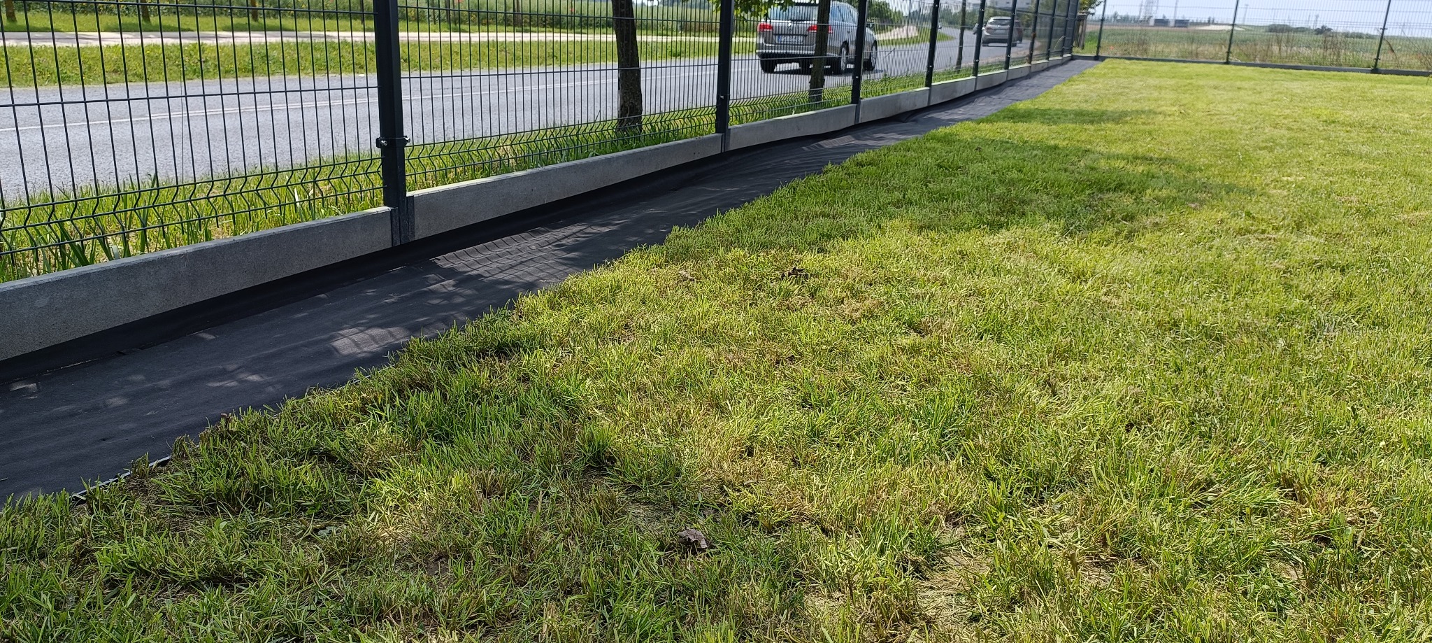 Przygotowanie terenu pod trawnik: rozłożona czarna mata pod trawnik wzdłuż betonowego obrzeża ogrodzenia panelowego, trawa w tle.