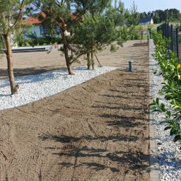 GARDEN USŁUGI OGRODNICZE GRZEGORZ TYMURA - Przygotowany teren pod trawnik z rolki, obrzeża z kostki, ozdobne białe kamienie i posadzone młode drzewka iglaste wzdłuż ścieżki.