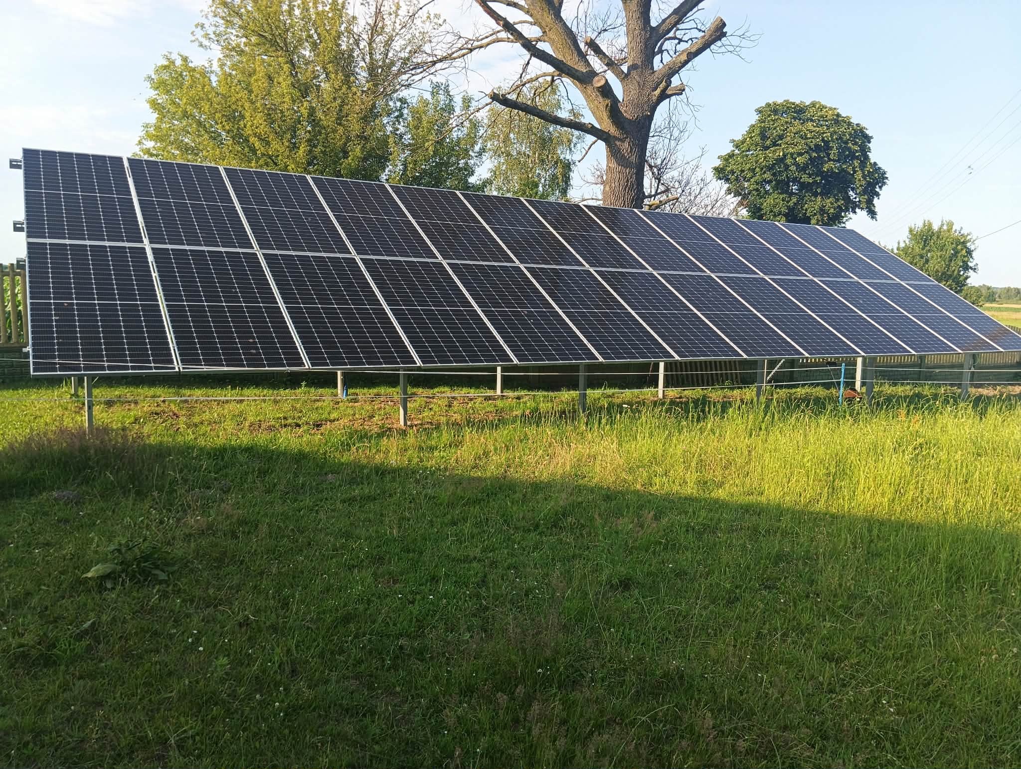 Rząd paneli fotowoltaicznych na metalowej konstrukcji, ustawiony na trawiastym terenie z drzewami w tle, oświetlony popołudniowym słońcem.