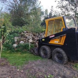 Usługi brukarskie Adam Maciąg - Czarno-żółta ładowarka Bobcat S100 na trawiastym terenie, z widoczną stertą kamieni i rządkiem tuj w tle, sugerująca prace ziemne w ogrodzie.