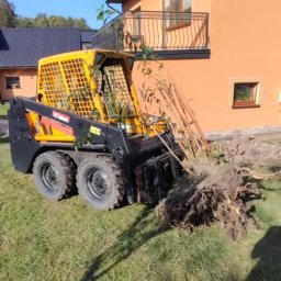 Usługi brukarskie Adam Maciąg - Żółto-czarna miniładowarka Bobcat podnosi karpę drzewa na trawniku przed domem z pomarańczową elewacją i balkonem z kutą balustradą w słoneczny dzień.