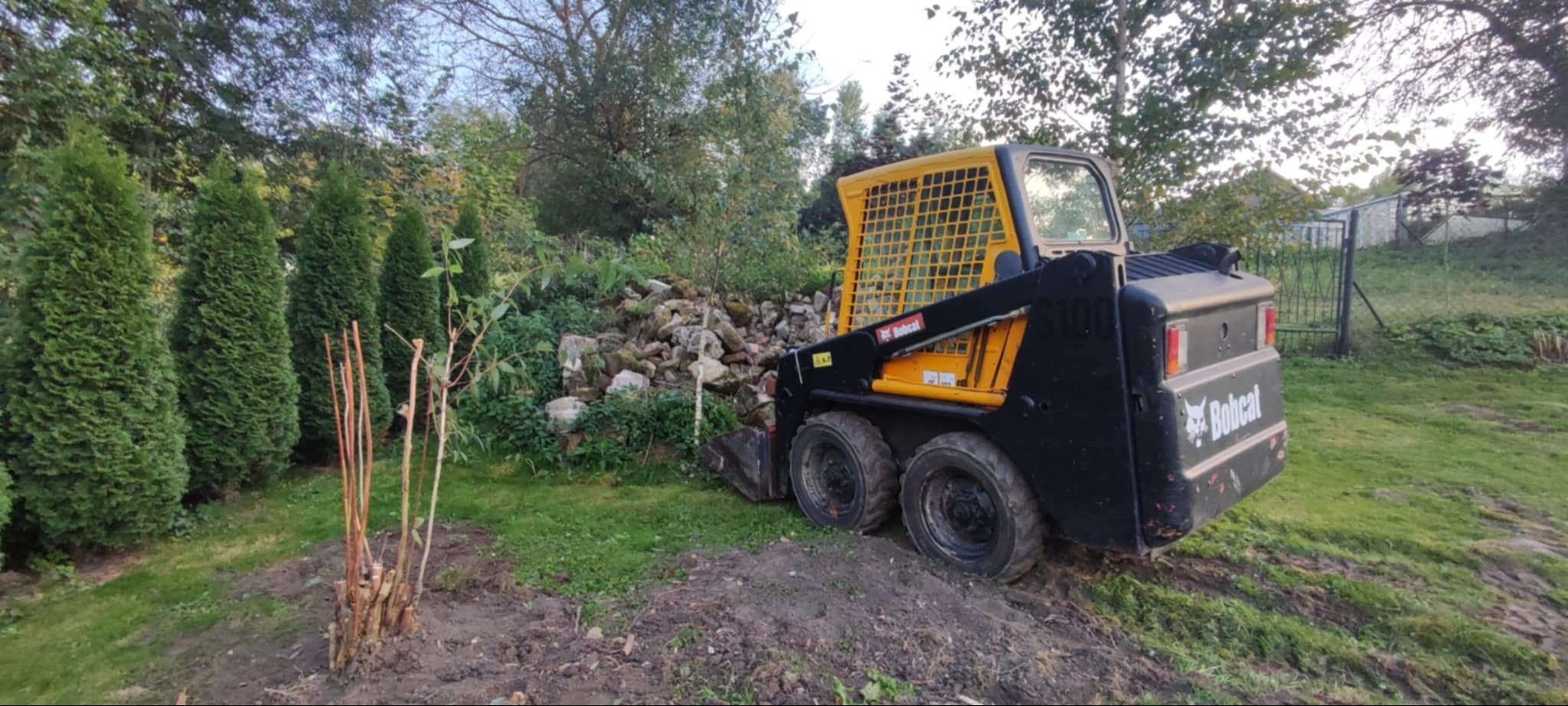 Czarno-żółta ładowarka Bobcat S100 na trawiastym terenie, z widoczną stertą kamieni i rządkiem tuj w tle, sugerująca prace ziemne w ogrodzie.