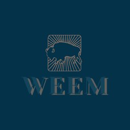 WEEM SPÓŁKA Z OGRANICZONĄ ODPOWIEDZIALNOŚCIĄ - Mycie Dachów Alwernia