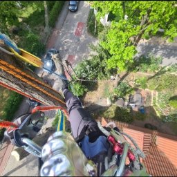 Wycinka drzew Warszawa 1