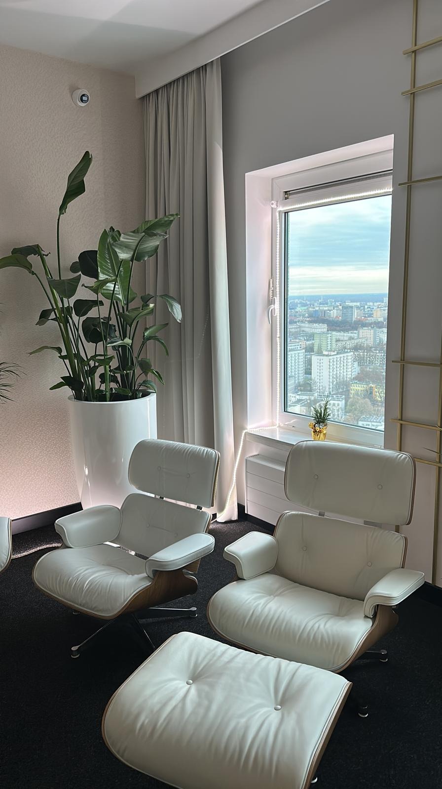 Jasne, modernistyczne fotele z podnóżkiem w biurze z widokiem na miasto, duża roślina doniczkowa w białej osłonce, oświetlenie LED przy oknie.