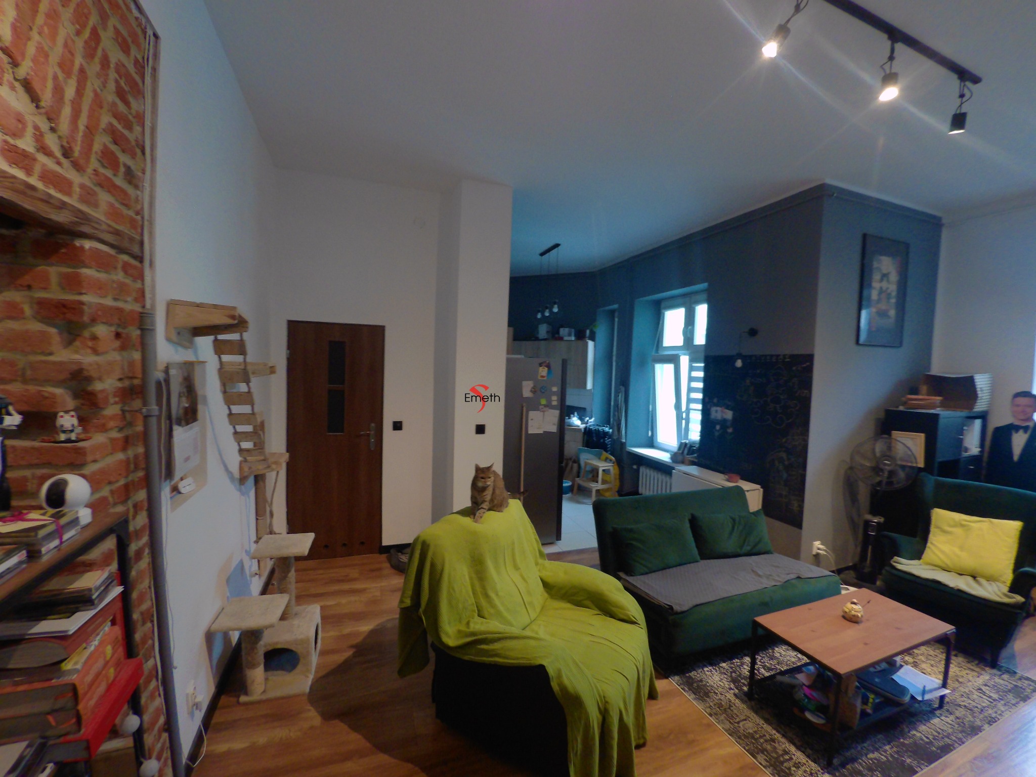 Salon z ceglaną ścianą, drewnianą podłogą, zielonymi sofami i fotelem, na którym siedzi rudy kot pod zielonym pledem.