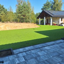 Wycinka drzew Konin 4