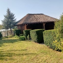 Siwe Ogrody - Ogród z równo przystrzyżonymi żywopłotami, drewnianą altaną krytą strzechą i młodym świerkiem srebrnym, w tle szklarnia.