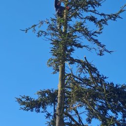 Systemy nawadniania Konin