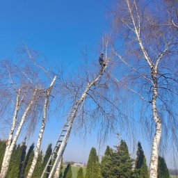 Siwe Ogrody - Zakładanie trawnik&oacute;w Konin