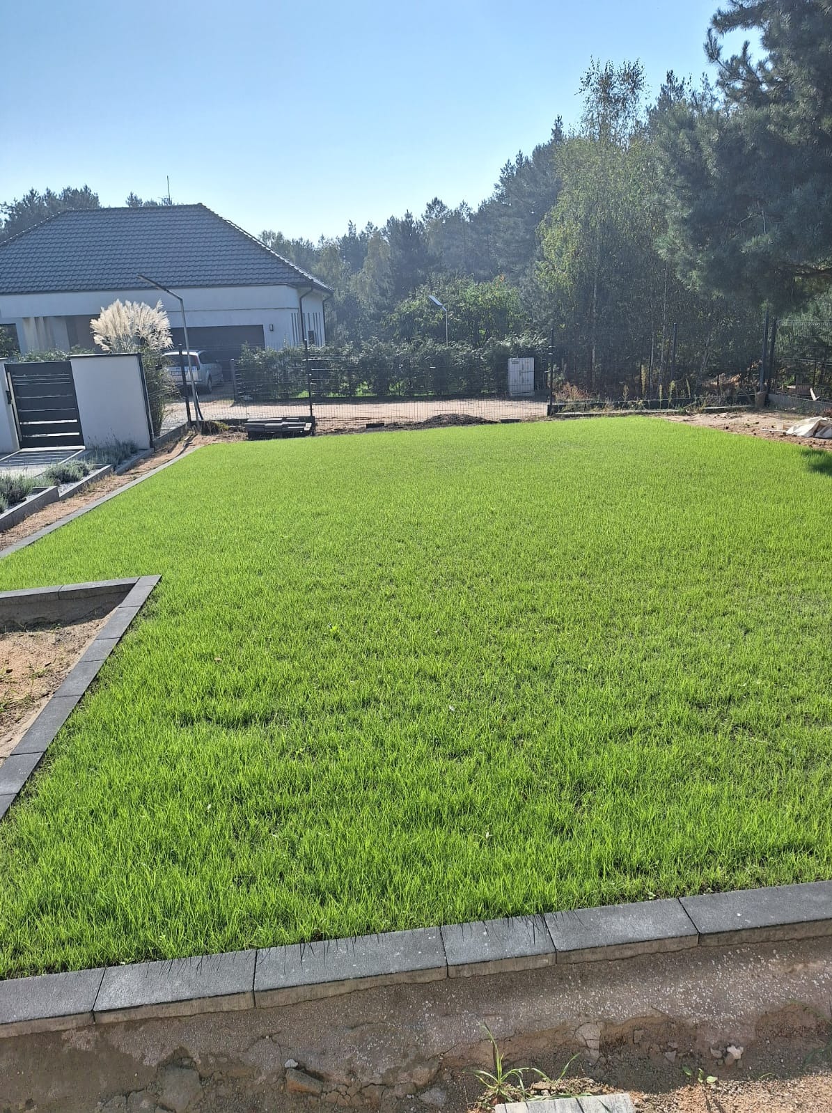 Świeżo ułożona, intensywnie zielona trawa z rolki na posesji z nowoczesnym domem w tle, otoczona szarą obwódką z kostki brukowej.