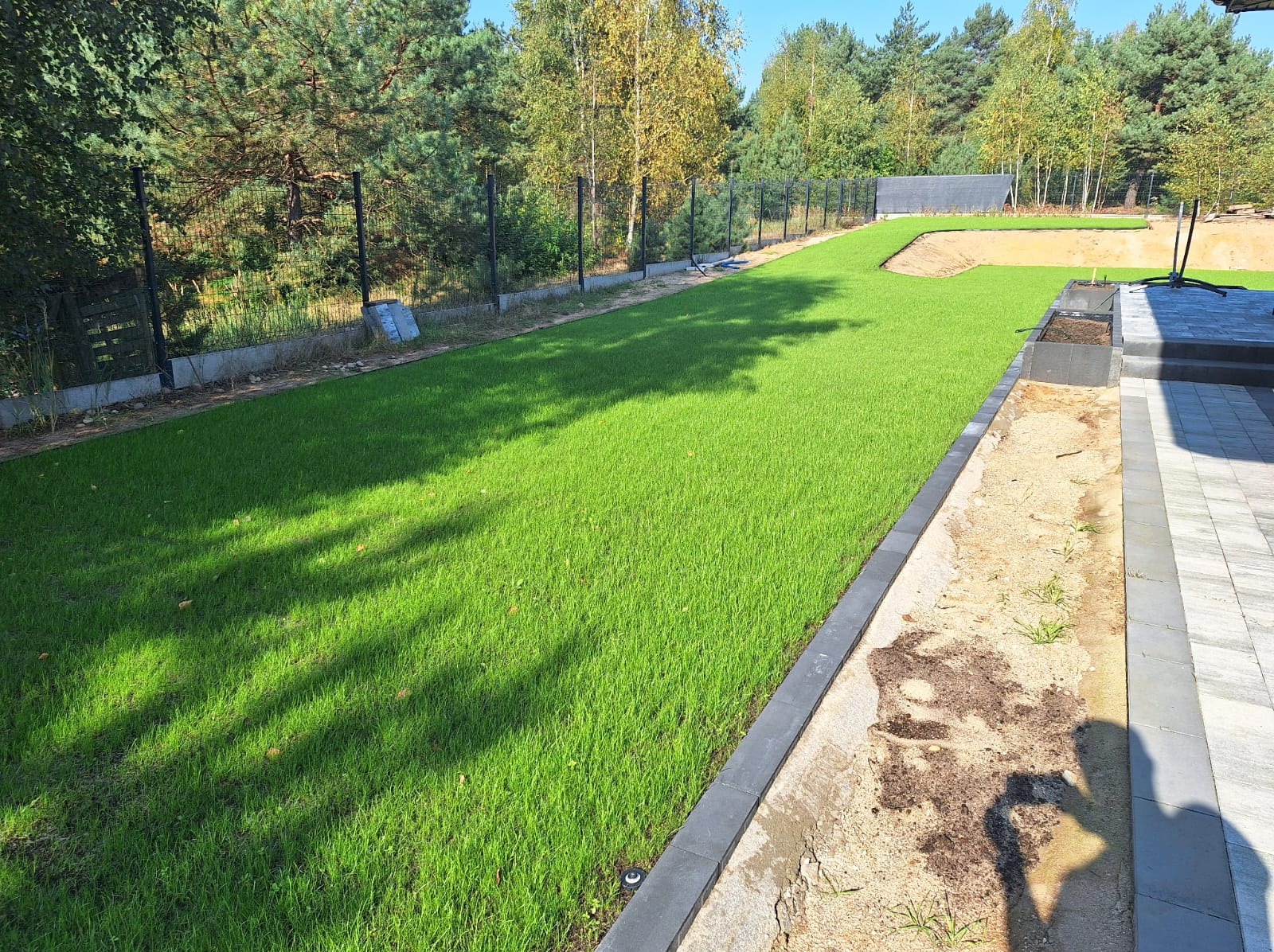 Nowo założony trawnik z rolki, widoczne obrzeża z kostki, ogrodzenie panelowe i drzewa w tle.