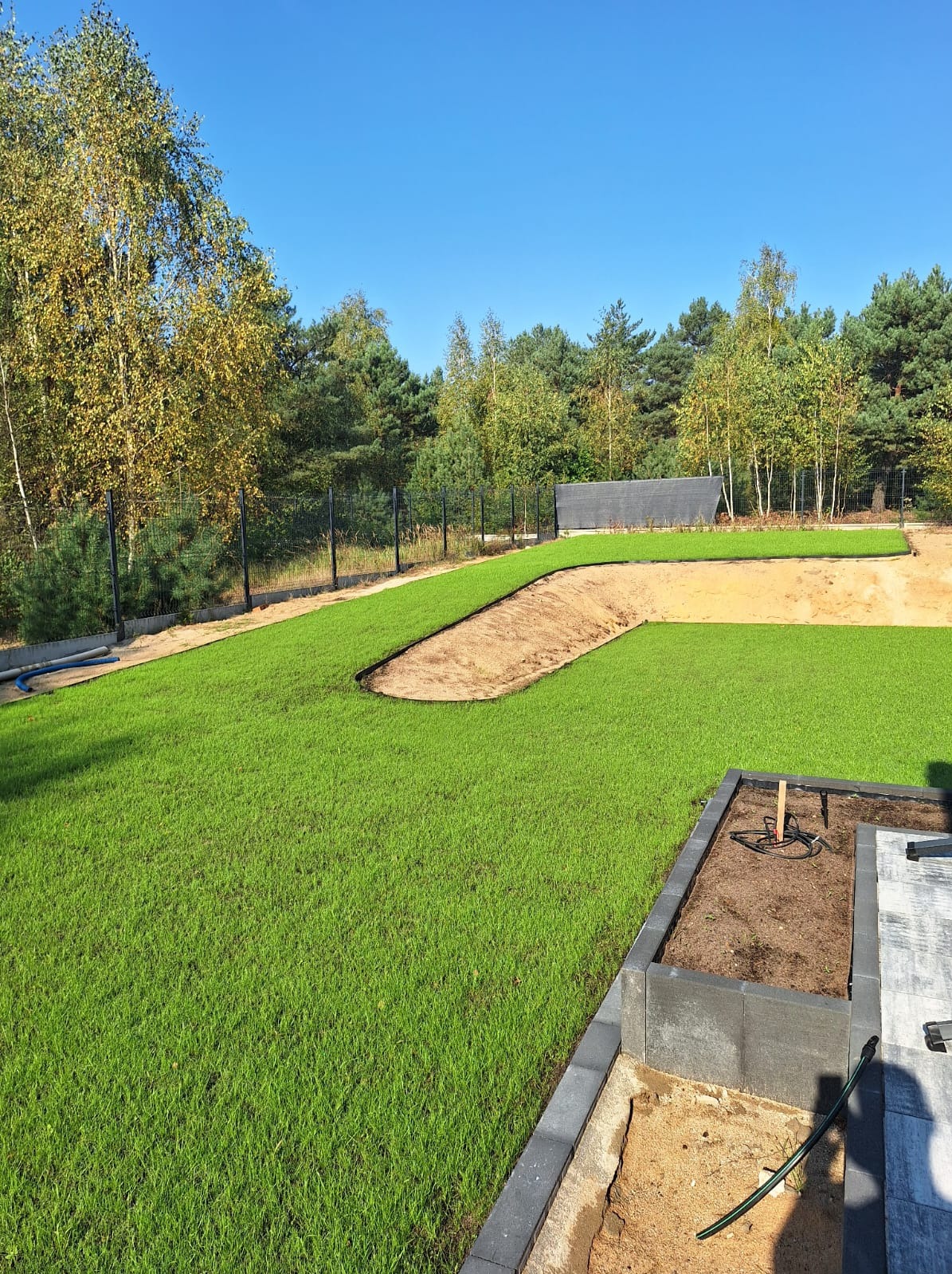 Widok na świeżo ułożoną trawę z rolki na posesji z wyznaczonym miejscem pod rabatę, w tle drzewa i ogrodzenie.
