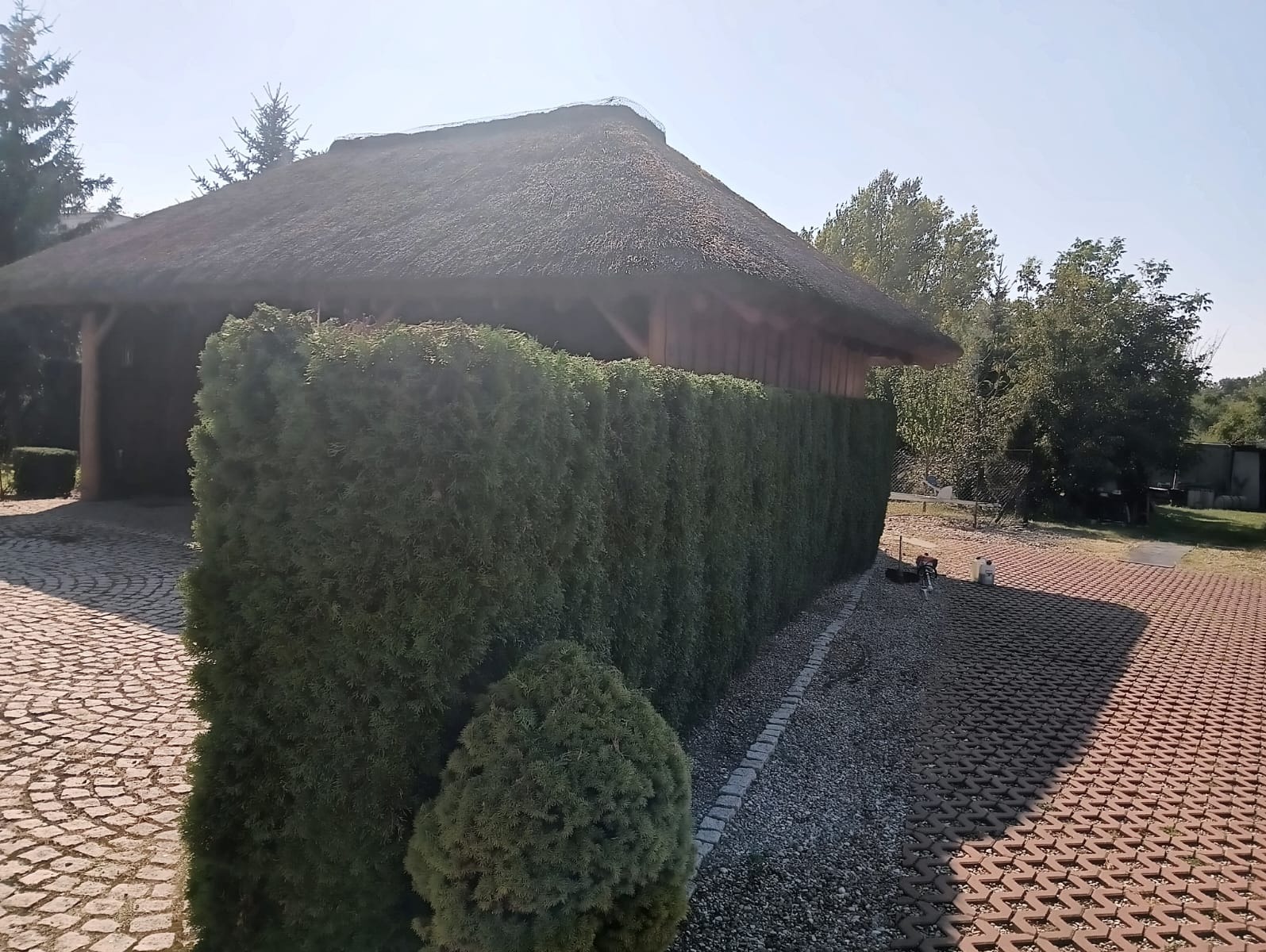 Formowany żywopłot z ciemnozielonych krzewów iglastych oddzielający budynek z krytym strzechą dachem od brukowanego podjazdu, widoczny mały krzew i kosiarka spalinowa.