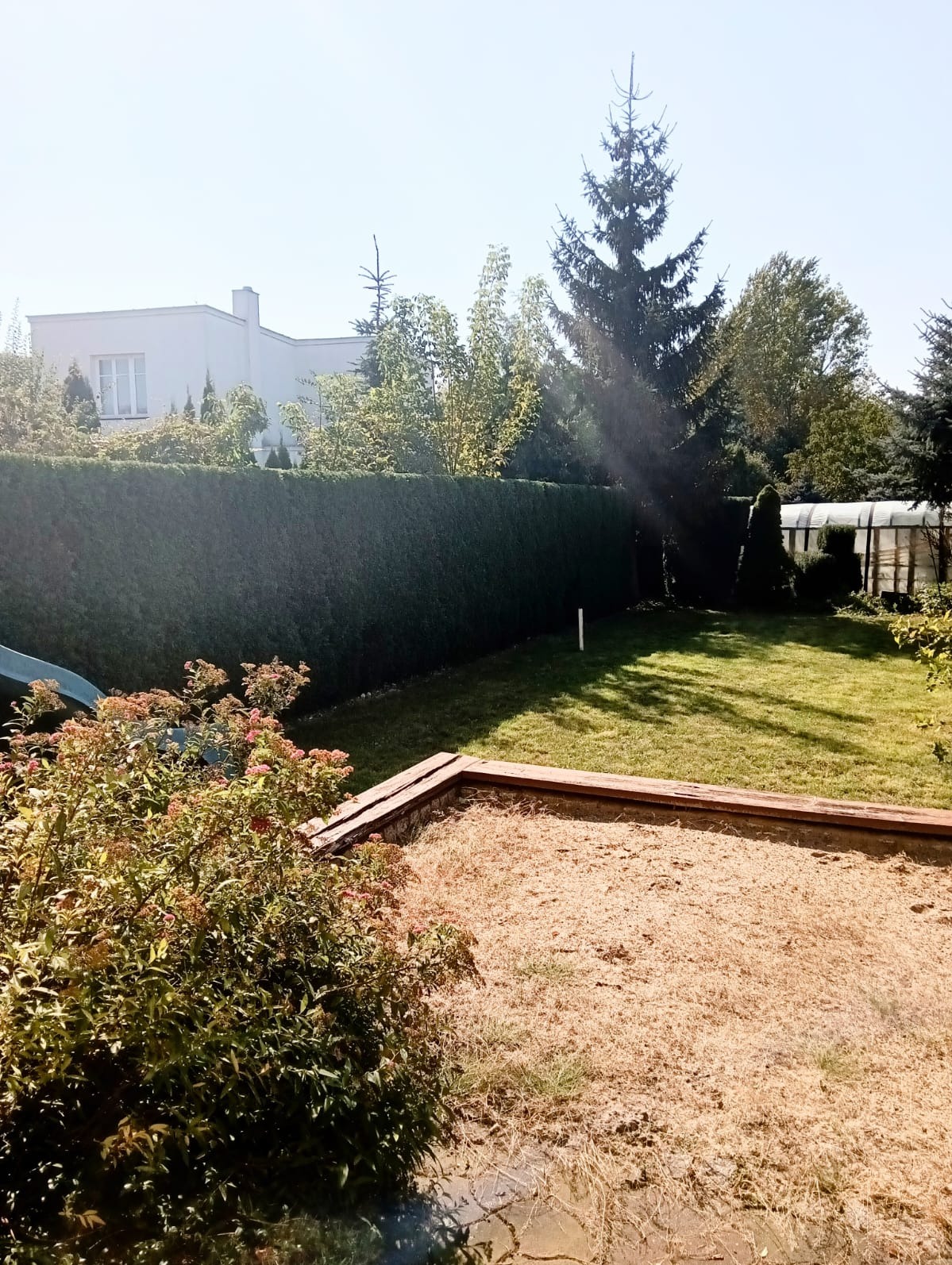 Widok na zadbany ogród z równo przystrzyżonym żywopłotem, trawnikiem i pustą rabatą kwiatową, w tle biały dom i szklarnia.