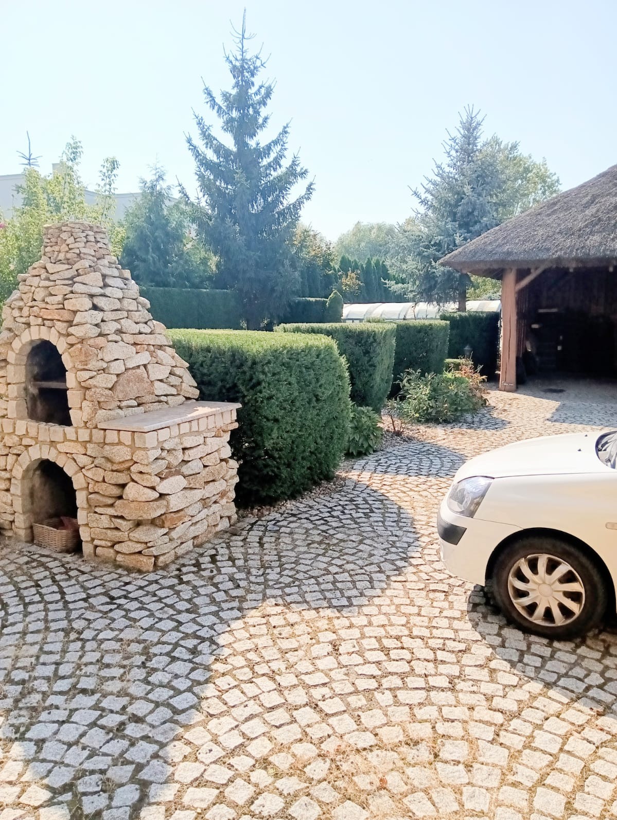 Ogród z równo przyciętym żywopłotem, kamiennym grillem i brukowanym podjazdem, częściowo zasłoniętym przez biały samochód.