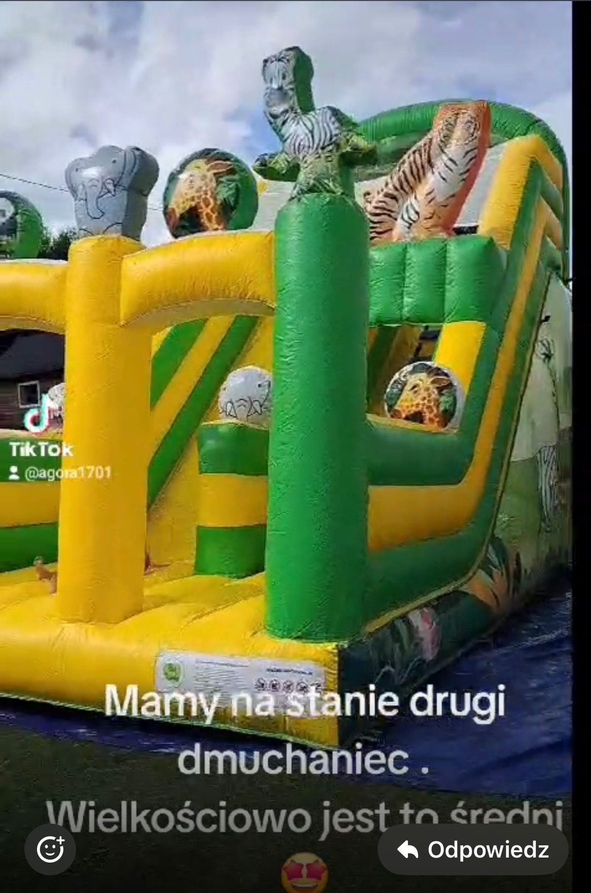 Średni dmuchany zamek w kolorach żółtym i zielonym z motywami zwierząt: zebry, tygrysa, słonia i żyrafy, ustawiony na zewnątrz.