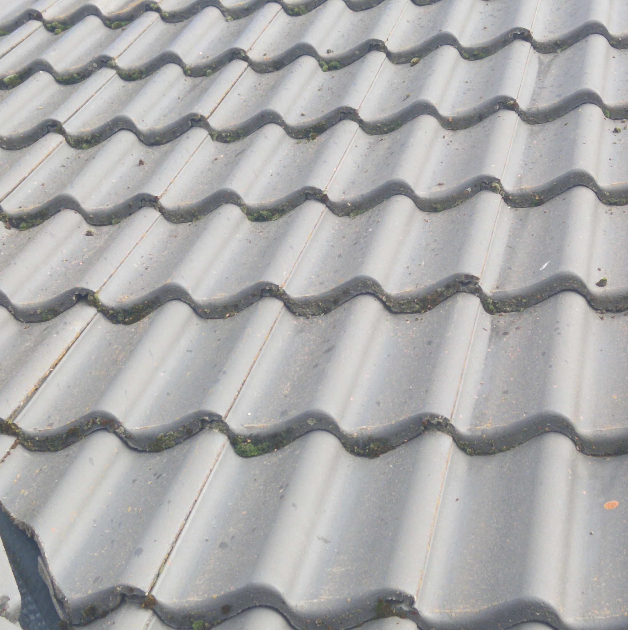 Ciemnoszara dachówka ceramiczna pokryta mchem w zagłębieniach, widok z góry pod kątem.