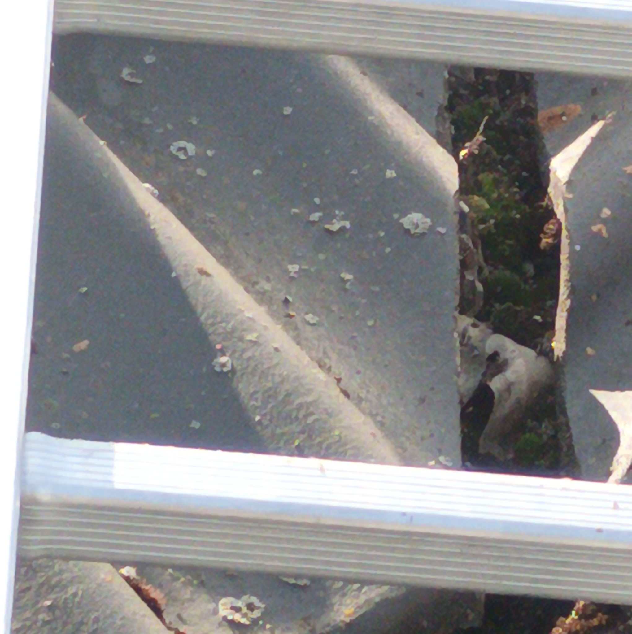 Fragment dachu z szarej blachy falistej, widoczny z perspektywy drabiny; w szczelinie między arkuszami widoczny mech i resztki liści.