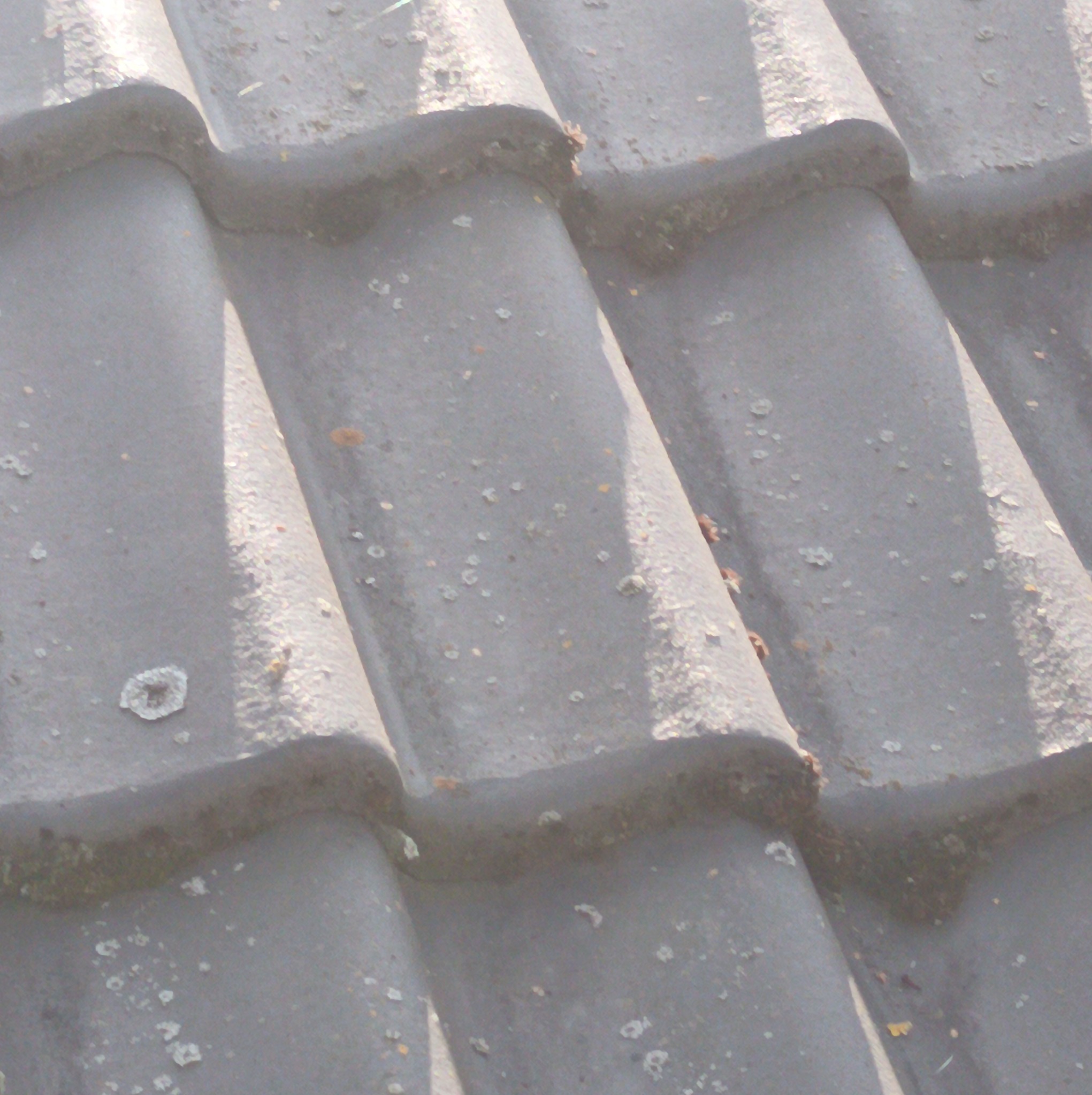 Szare dachówki pokryte mchem i plamami, zbliżenie na zabrudzenia w zagłębieniach.