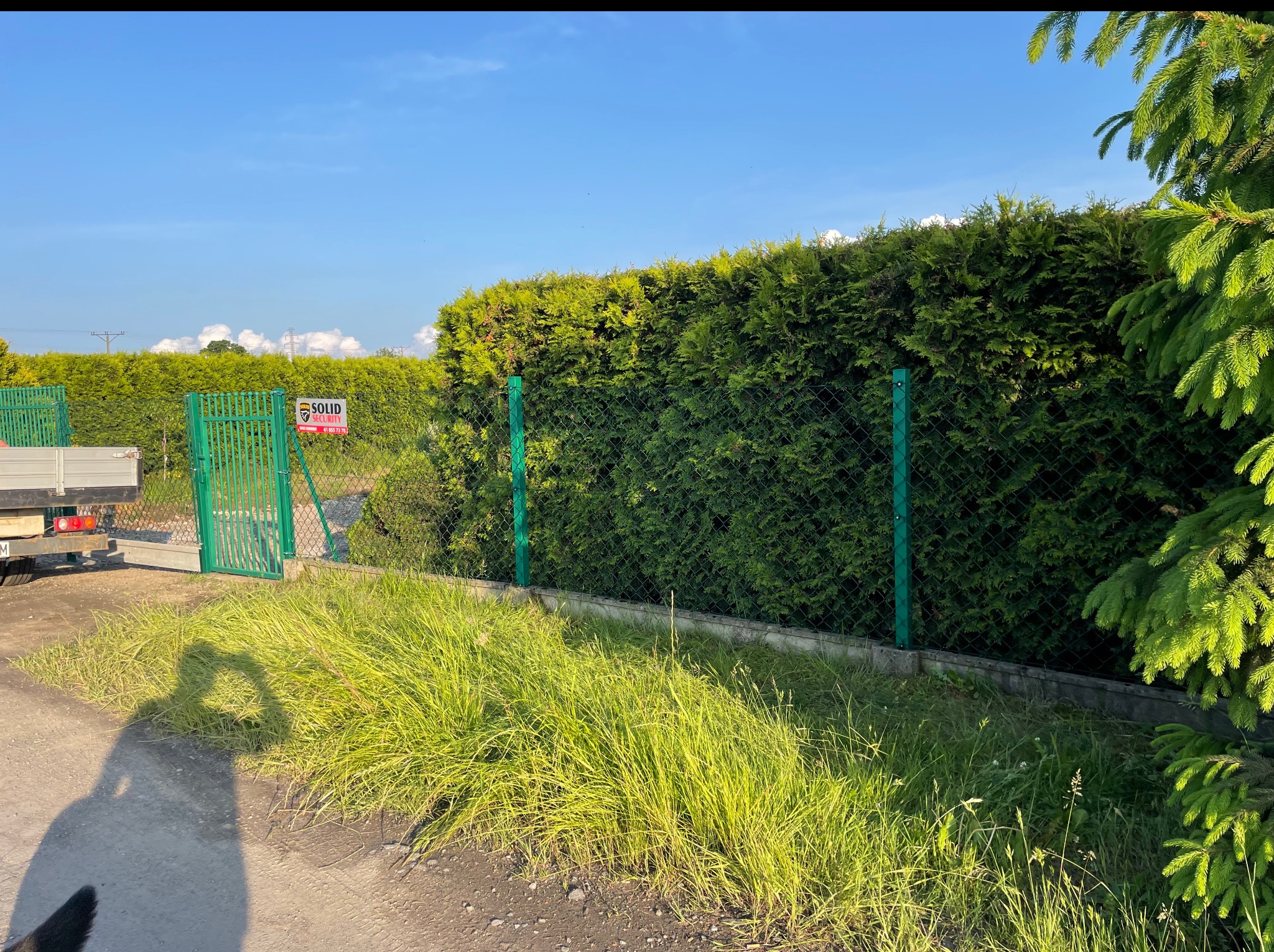Zielone ogrodzenie z siatki i słupków na tle żywopłotu z tuj. Częściowo widoczna brama wjazdowa i trawa. Na ogrodzeniu tabliczka informacyjna z napisem SOLID SECURITY.