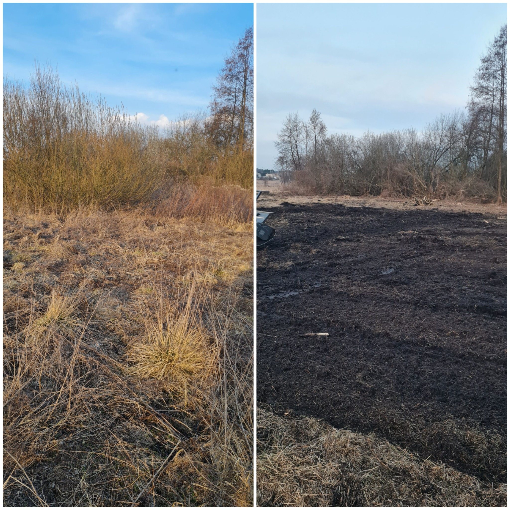 Porównanie terenu przed i po: zarośnięty teren z brązową trawą po lewej, czarna, wypalona ziemia po prawej stronie, widoczne drzewa i krzewy w tle.
