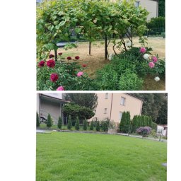 Zakładanie ogrodów Wojciechów 1