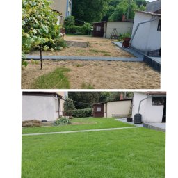 Zakładanie ogrodów Wojciechów 2