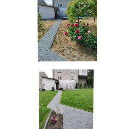 Zakładanie ogrodów Wojciechów 4