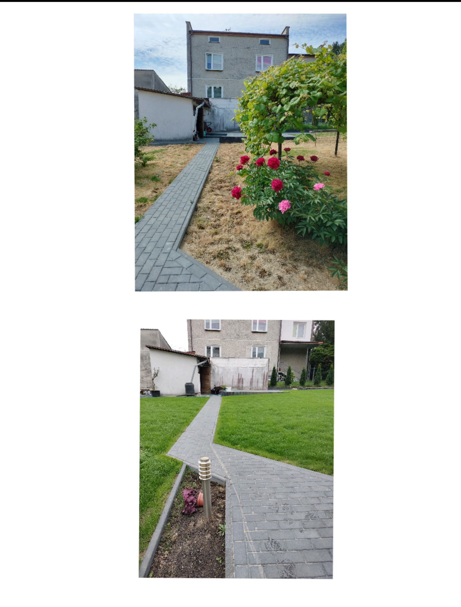 Dwie fotografie przedstawiające transformację ogrodu: pierwsza z suchą trawą i betonową ścieżką prowadzącą do budynku, druga z zielonym trawnikiem, tą samą ścieżką i lampą ogrodową.