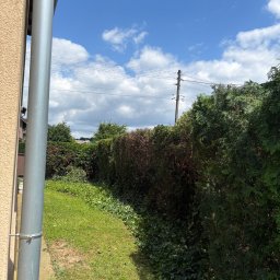 Wycinka drzew Stara Kuźnia 1