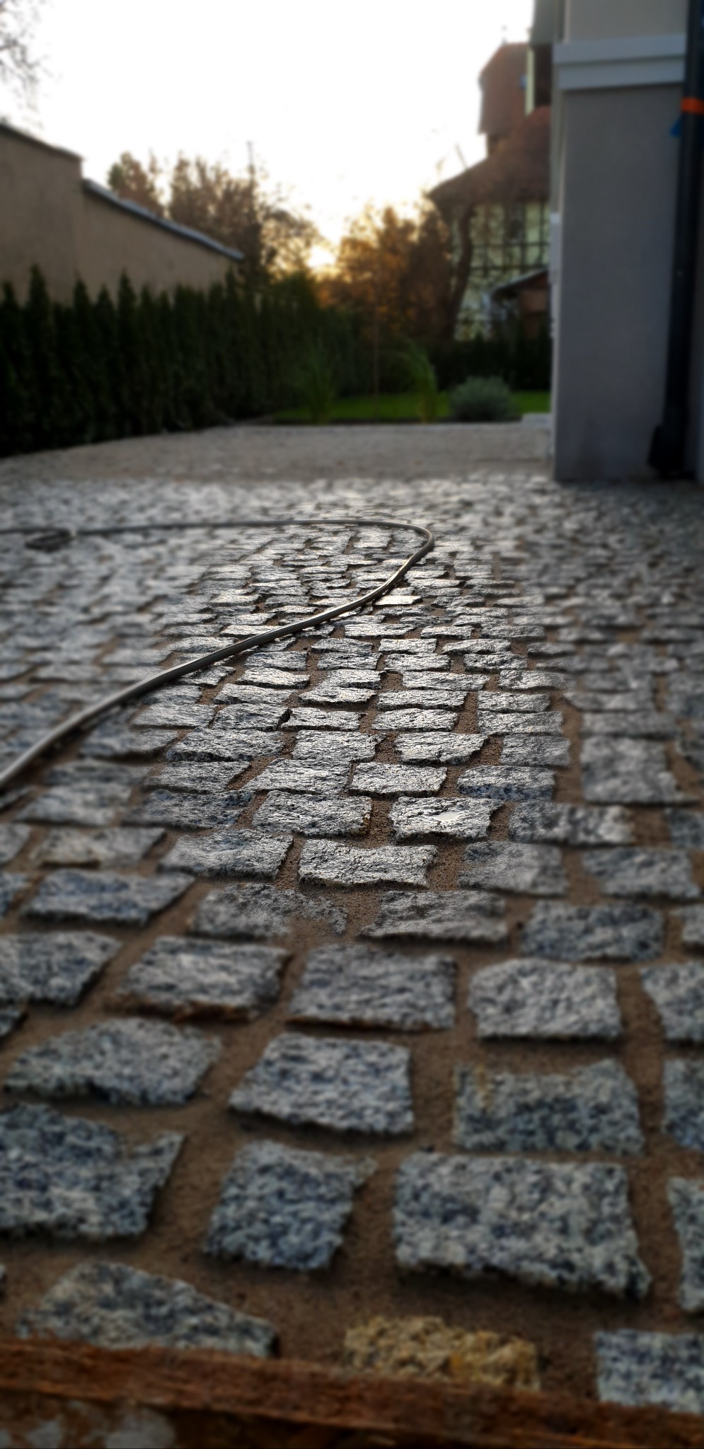 Ułożona kostka granitowa w odcieniach szarości, z widocznym przewodem na powierzchni, prowadząca w kierunku zieleni i zabudowań w tle, w ciepłym świetle.