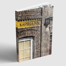 Malarstwo artystyczne Dzierżoniów 3