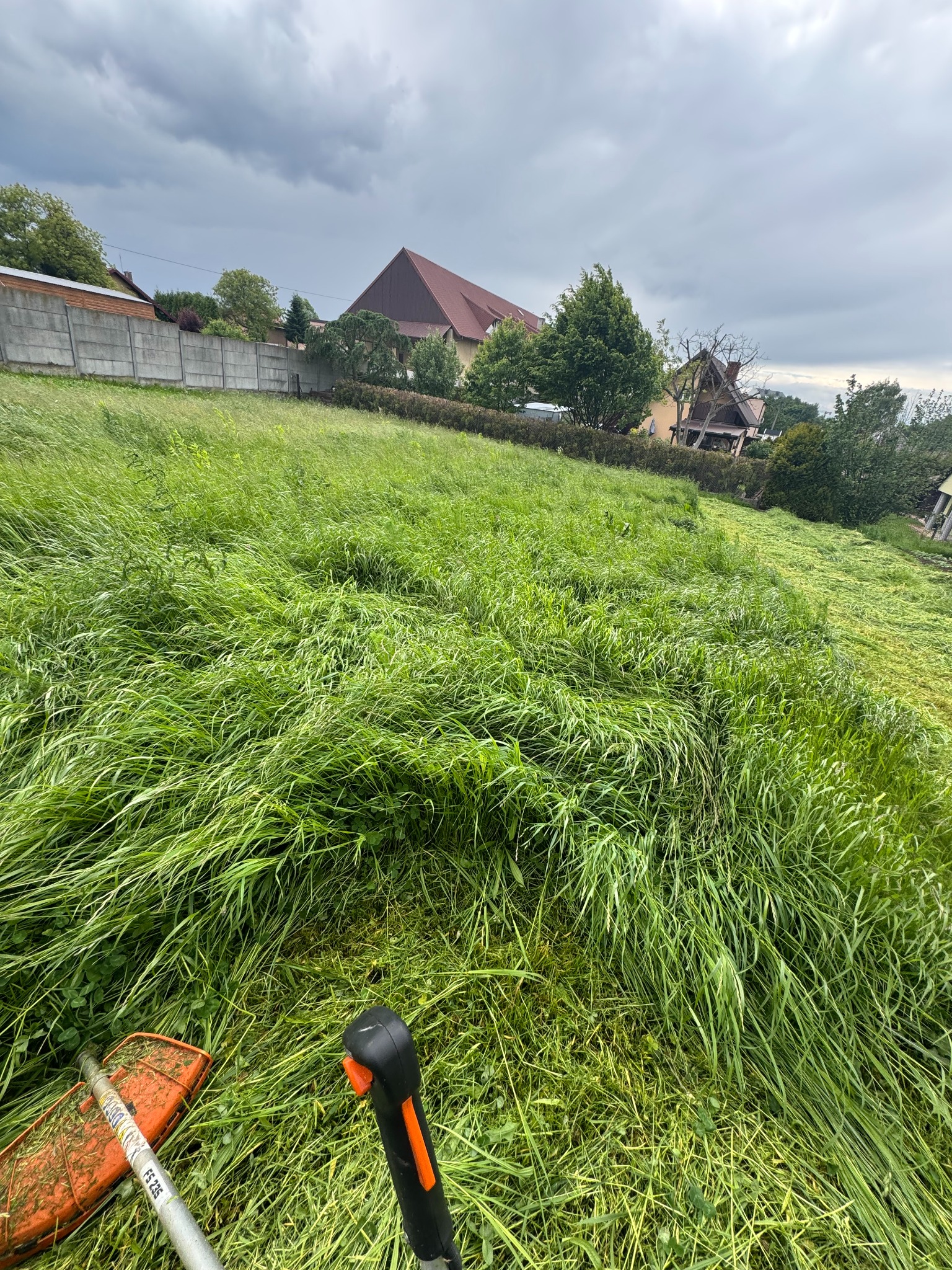 Zarośnięty trawnik w trakcie koszenia; w kadrze fragment podkaszarki z pomarańczową osłoną i czarnym uchwytem. W tle domy i pochmurne niebo.