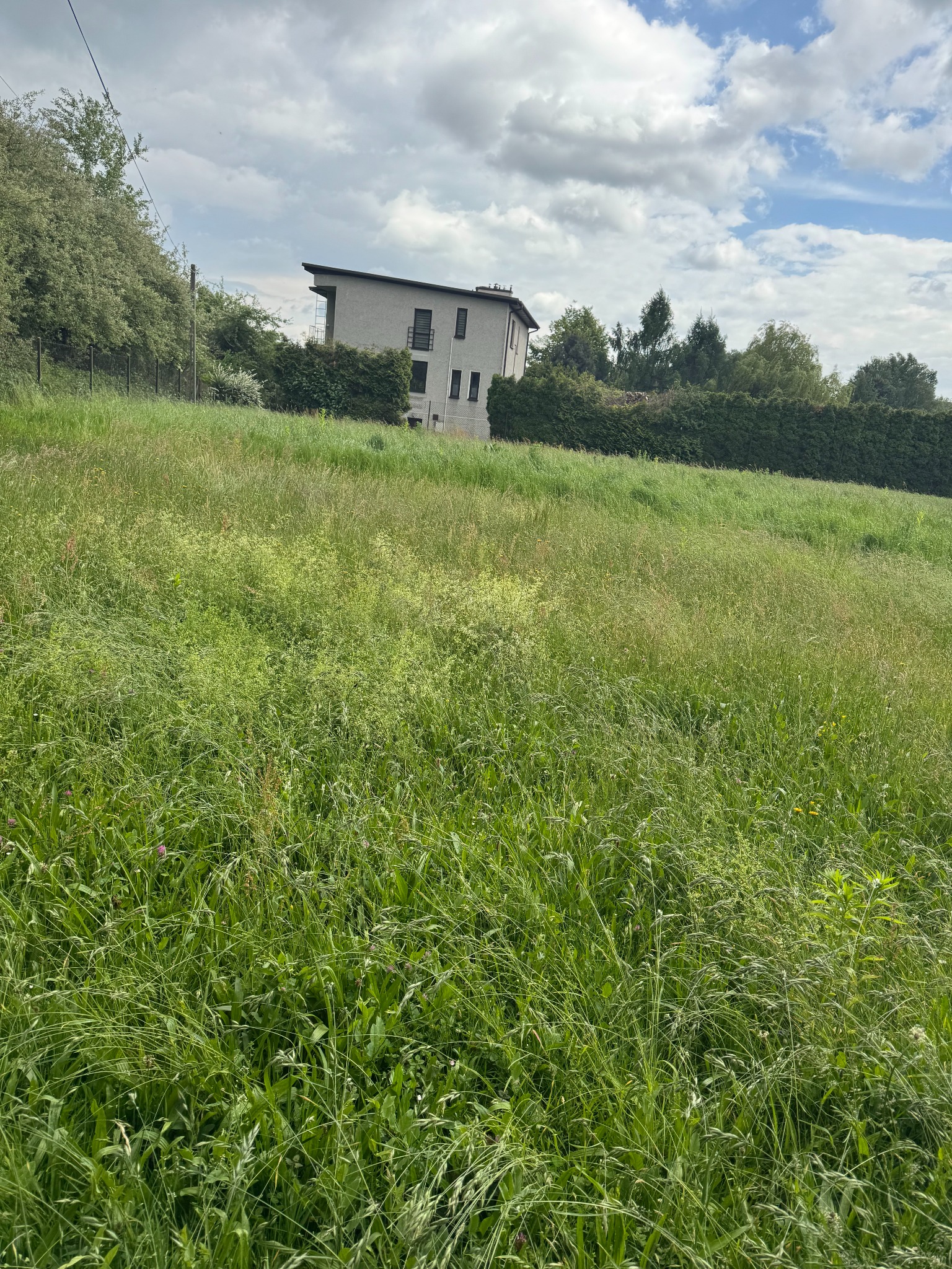 Zarośnięty trawnik przed domem z szarą elewacją i żywopłotem. Wysoka trawa wymaga koszenia. Pochmurne niebo.
