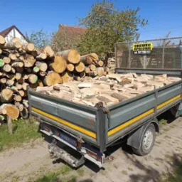 Ciężarówka z drewnem opałowym na pace, obok stos pociętych pni z zielonymi oznaczeniami. Tablica reklamowa z napisem 'Drewno opałowe'.
