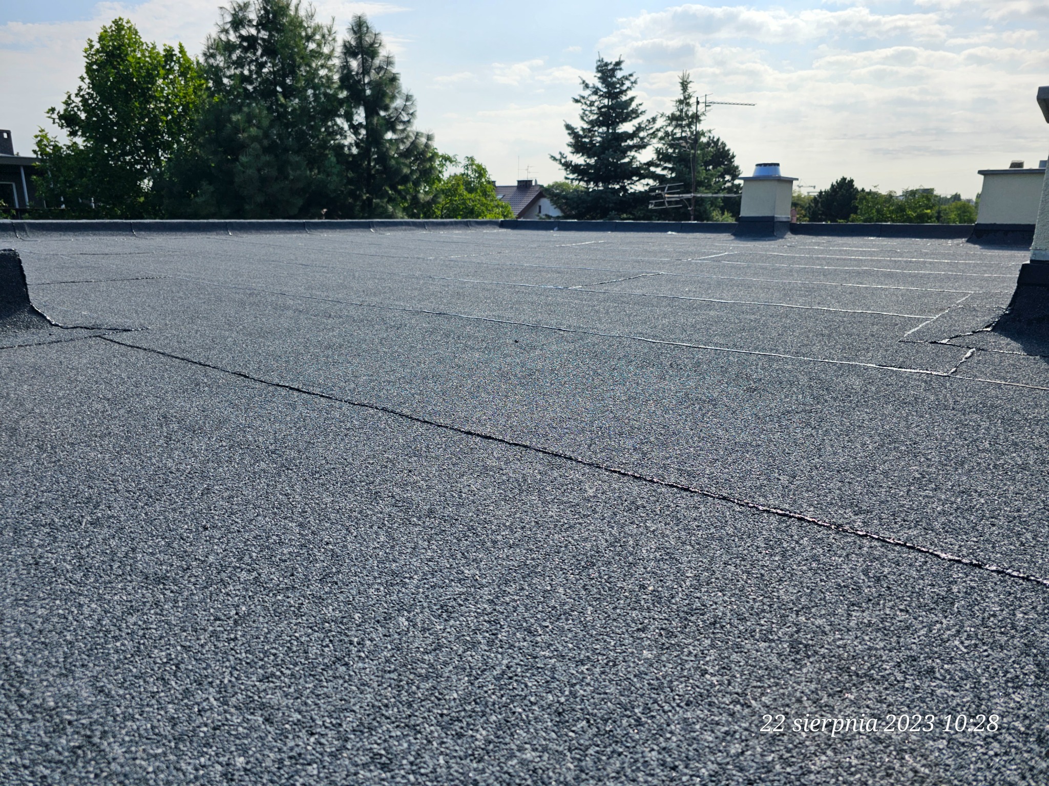Nowa, płaska powierzchnia dachu pokryta papą bitumiczną z widocznymi liniami łączeń, na tle zielonych drzew i błękitnego nieba z chmurami.