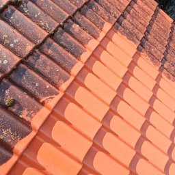 Sebo Dach I Bruk jak nowy - Częściowo oczyszczony, pomarańczowy dach z ceramicznej dachówki, po lewej stronie pokryty mchem i brudem, po prawej czysty i lśniący, widok z góry.
