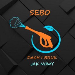 Mycie dachów Gołubie 1