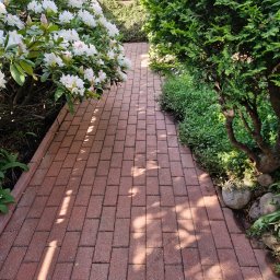 Sebo Dach I Bruk jak nowy - Czerwona kostka brukowa ścieżki w ogrodzie, otoczona kwitnącym rododendronem i zielonymi krzewami, oświetlona promieniami słońca. Widok z perspektywy pieszego.