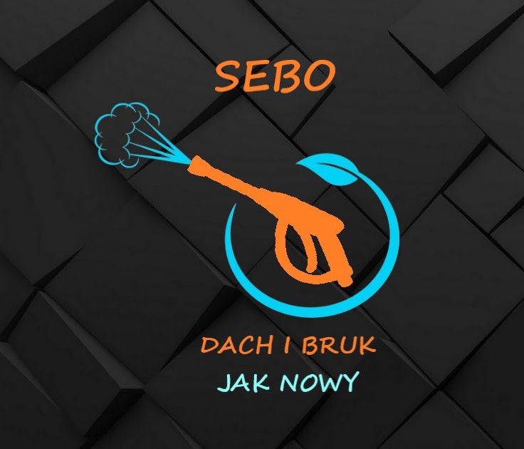 Logo firmy SEBO: pistolet do czyszczenia pod ciśnieniem w kolorze pomarańczowym, otoczony niebieskim okręgiem z liściem, napis 'DACH I BRUK JAK NOWY' na tle czarnych, trójwymiarowych kwadratów.