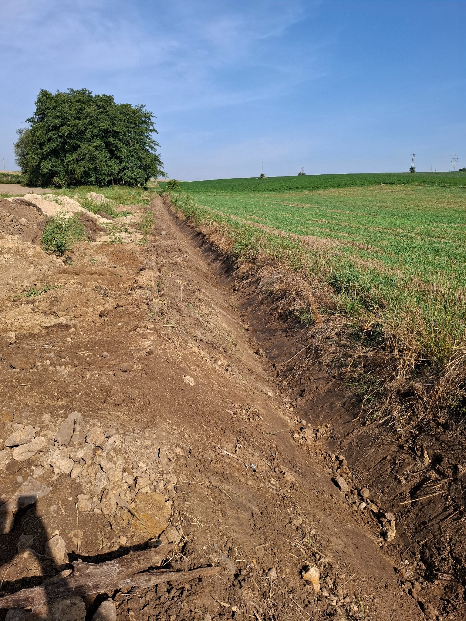 Czyszczenie rowów