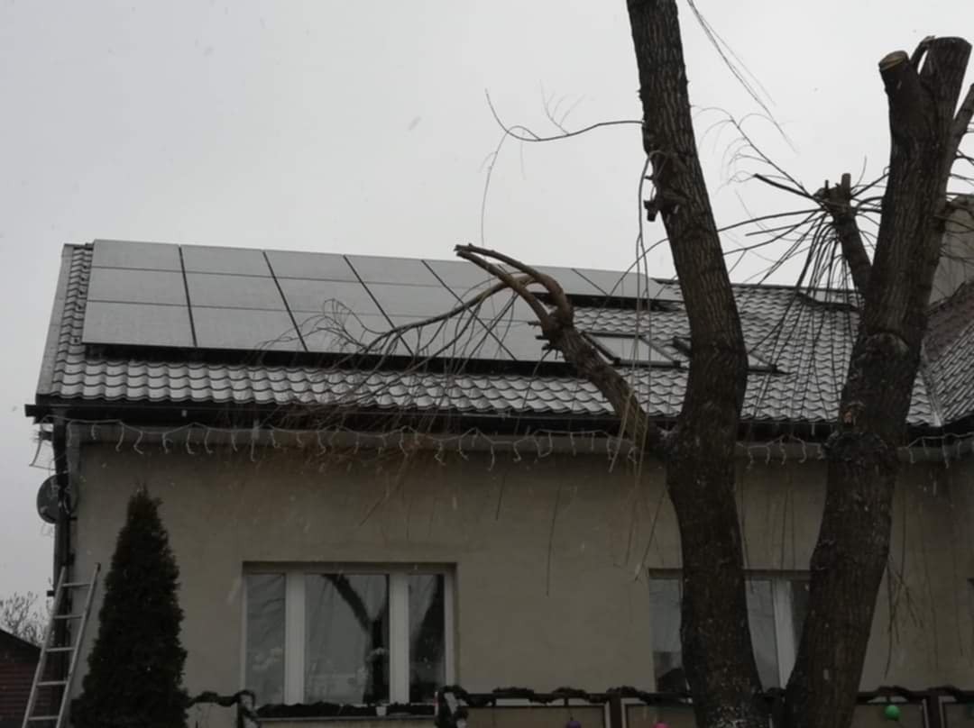 Panele fotowoltaiczne na dachu domu jednorodzinnego, widoczne przez gałęzie drzewa w zimowy dzień. Metalowa drabina oparta o ścianę budynku.