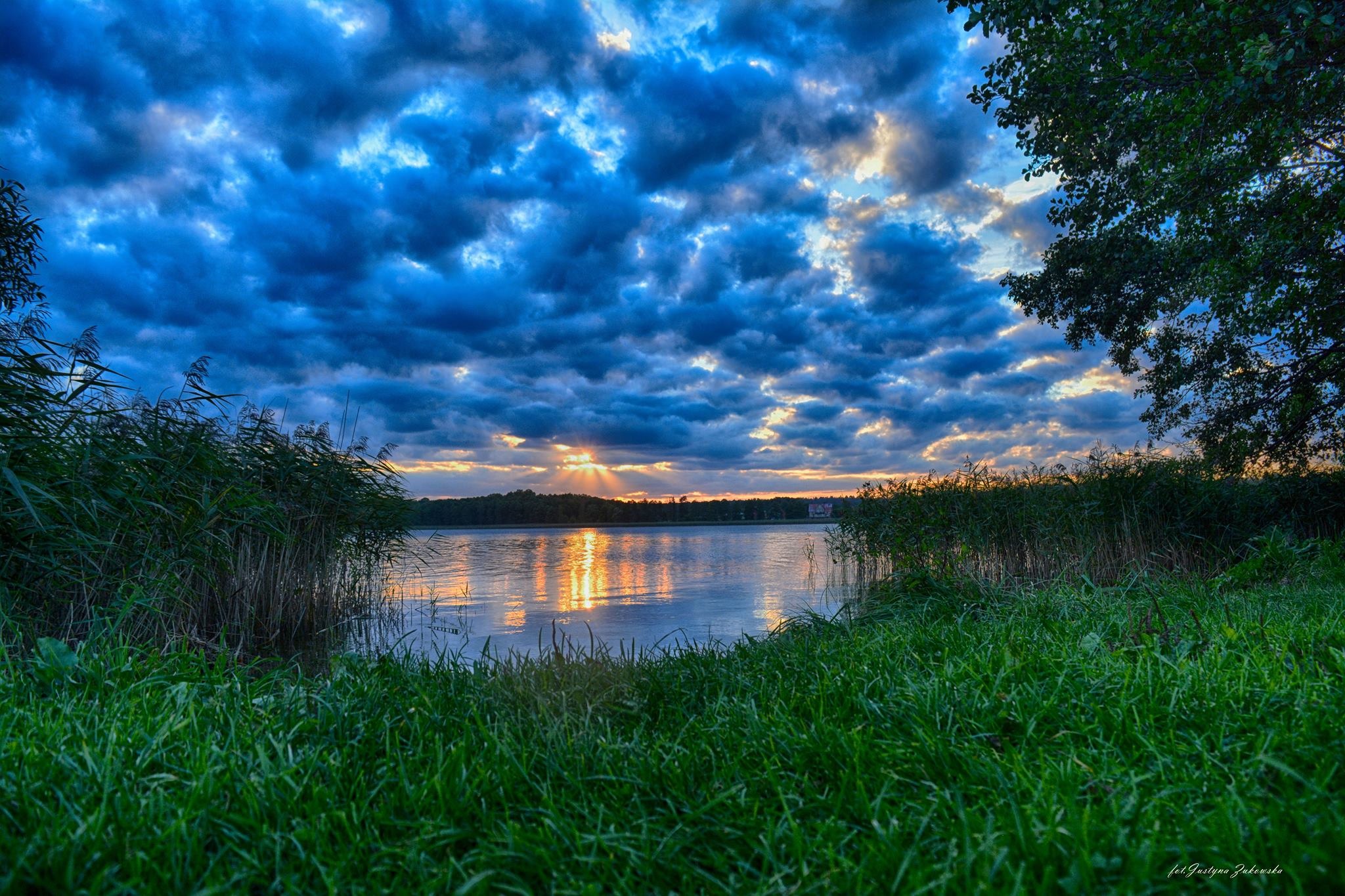 Pejzaż jeziora o zmierzchu z promieniami słońca przebijającymi się przez chmury, widok z poziomu trawy i trzcin.