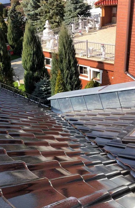 Błyszczący, ciemny dach ceramiczny z lukarną na tle ogrodu z tujami i rzeźbą na tarasie domu.