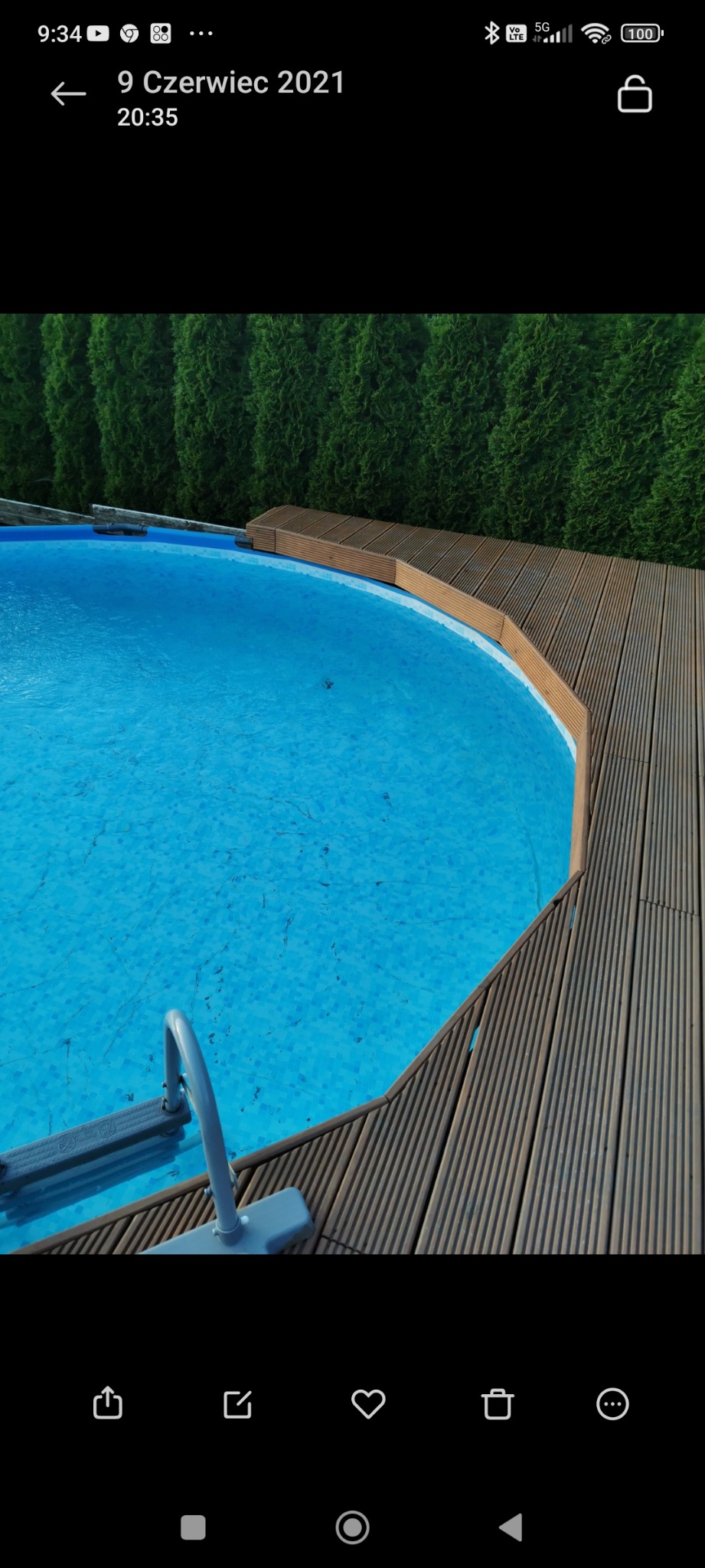 Basen ogrodowy z drewnianym tarasem i drabinką, otoczony zielonymi tujami.