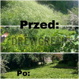 Drew Green - Tani Producent Trawy z Rolki Gniezno