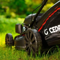 Drew Green - Czarna kosiarka spalinowa Cedrus na zielonej trawie, z widocznym koszem i kołami. Tło rozmyte, słoneczny dzień. Sprzęt ogrodniczy w trawie.