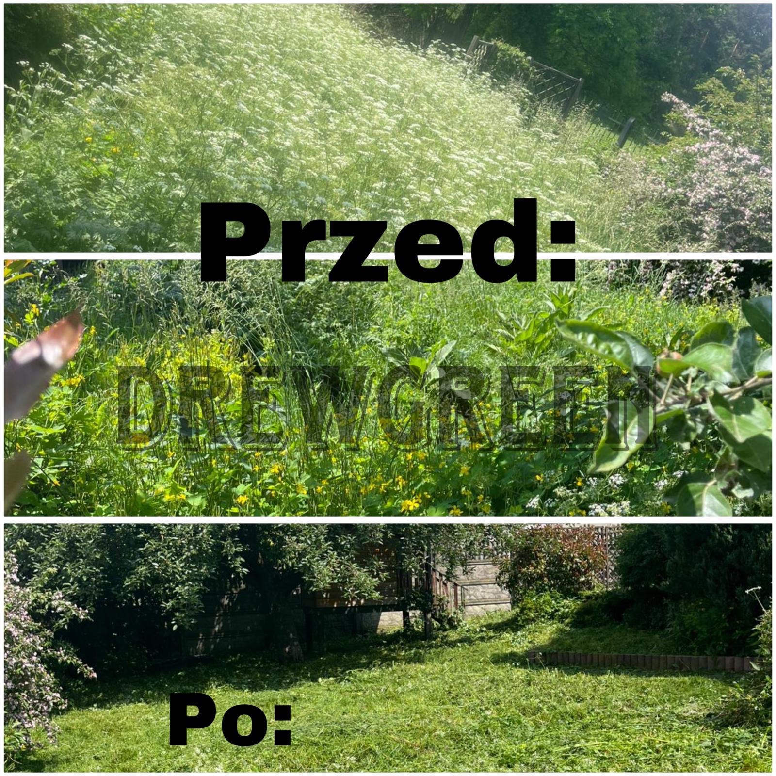 Fotografia przedstawia porównanie stanu trawnika przed i po koszeniu. Na górze bujna, zaniedbana trawa, na dole krótko przystrzyżony trawnik. Widoczne drzewa i krzewy.