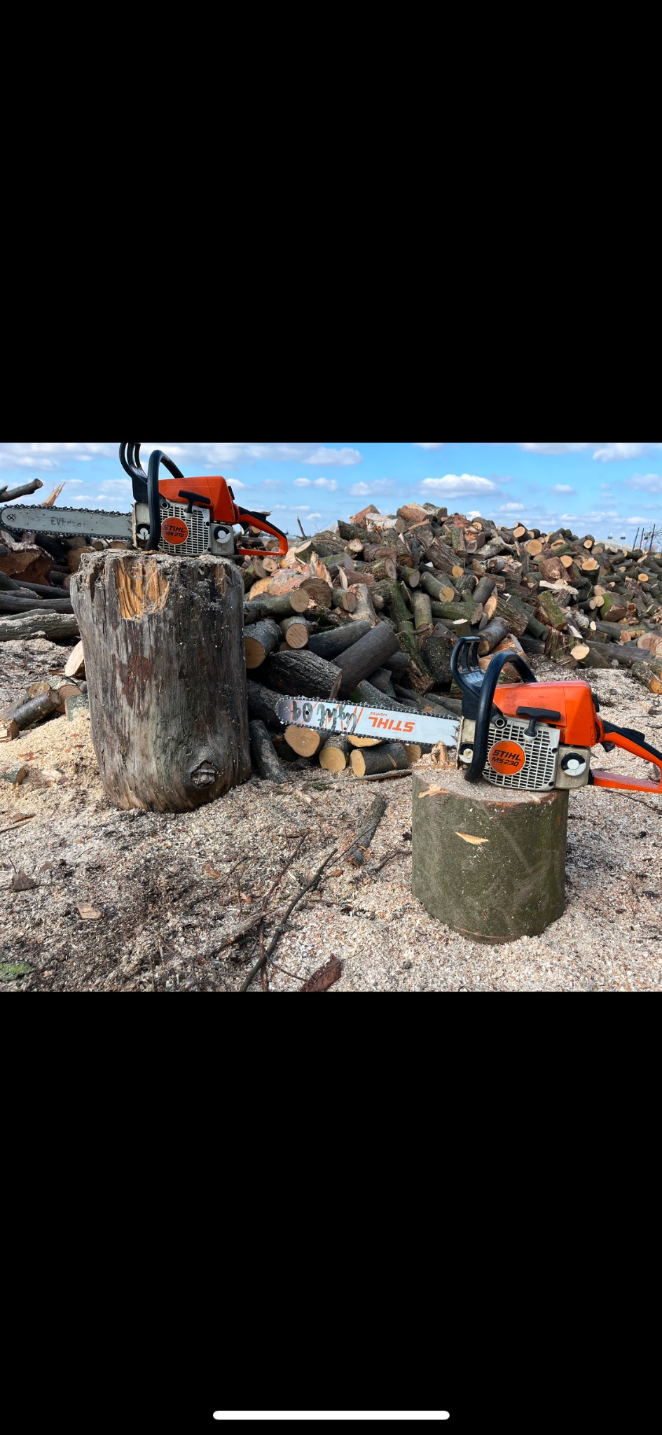 Dwie pomarańczowe pilarki Stihl na pniakach, w tle sterta pociętych pni drzew. Wokół rozsypane wióry. Błękitne niebo z chmurami w oddali. Świeżo ścięte drewno.